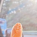 중광정해수욕장관리사무실 | 양양 중광정해수욕장 &amp; 힙한 써피비치 다녀온 후기 (엄청 더웠음.)