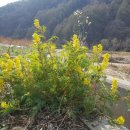 다래골농장 이미지