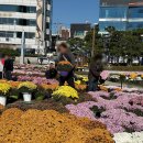 광미마트 이미지