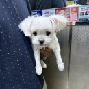 땡
