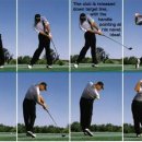 골프다이제스트아카데미 이미지