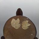 세이프케어 이미지