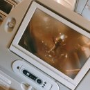 클러버 하우스 이미지