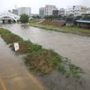 하천(대전천1) 이미지