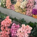 강변대로311 | 부산 꽃시장 농협부산화훼공판장 엄궁화훼단지 셀프부케 꽃바구니