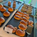 빵고래케익고래 | 원주 카페 추천 | 뷰가이쁜 고래호수 아이랑, 반려동물 동반 ,메뉴 등 총정리