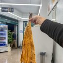 황태가맥 | 전주 현지인 맛집 전일갑오 황태구이 가맥집 솔직후기