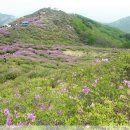 진석농장 이미지