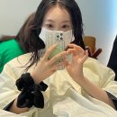 자연앤동물병원 미용실 | [센텀시티] 해운대 센텀 미용실 복구클리닉 잘하는 곳 “에코레비헤어앤스파 해운대센텀점”