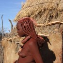 원시로2 이미지