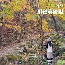 원주 근교 당일치기 추천, 치악산 자연휴양림 단풍과 계곡 명소