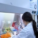 애경산업 이미지