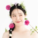 데이그래피 이미지