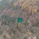 상공공인중개사사무소 이미지