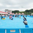 테마파크 이미지