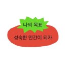 #월간기록_2602(부제.두쫀쿠와 사고)