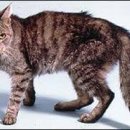 수원종합동물병원 이미지