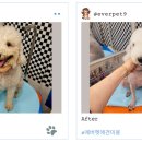 에버펫동물병원 이미지