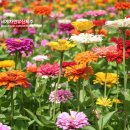 제1회 제주에코색소폰 앙상블 “여름날의 작은 음악회” | 6월 제주도 행사, 아홉 가지 축제를 즐겨보자!