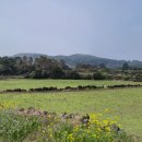 내고1농로 | 오름의 매력, 올레 1코스