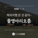 다모앙제주