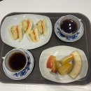 오월의정원 포레스트 이미지