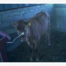 삼창농장 이미지