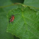 남동목장 이미지