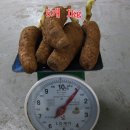 만경약초
