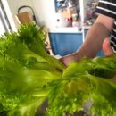 정진농장 이미지