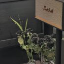 둔촌대로 127번길 이미지