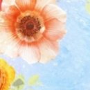 일신세탁 이미지