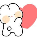 제주회포장바다회스시망고