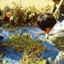 맑은해유치원 이미지