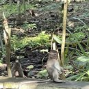 기선목장 이미지