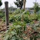 샘터농장 이미지