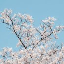 나만봄