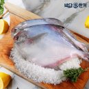 바다애(愛) 이미지