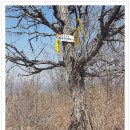 웅천북3로 이미지