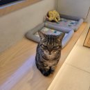 정훈동물병원 이미지