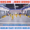 효단태권도장 이미지