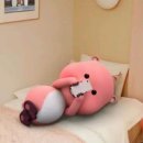 광수카 | 동글이의 둥둥일지••🌝🌚&gt;&lt;💌