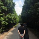 선미목장 네이버블로그