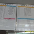 점촌시외버스터미널 Daum카페