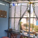 조이 게스트하우스 이미지