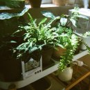 한강켄넬2 이미지