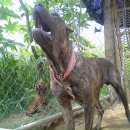 부광주유소 이미지