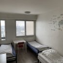 비타민민박 이미지