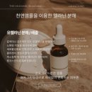 위드로우뷰티