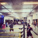 용인대NEW복싱 이미지